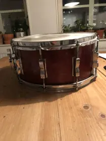 Ludwig snare identification