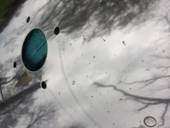 Crud vs. corrosion on Ludwig Stainless Steel sheels