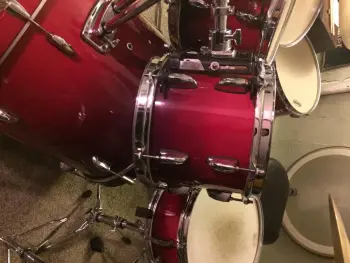 New member of the family-Pearl session custom