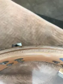 $10 vintage Ludwig snare?