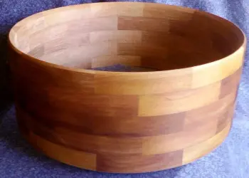 Ancient Kauri shell