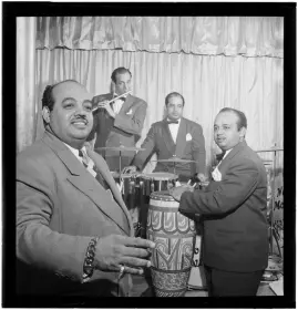 WTB Vintage Bongos, Timbales