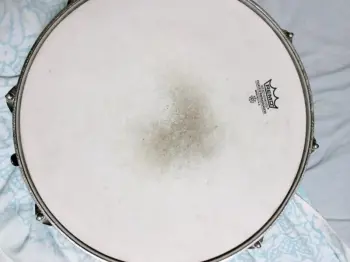 Help identifying Snare