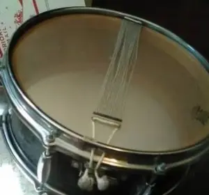Help identifying this snare