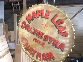 Salvaging a calf head for display