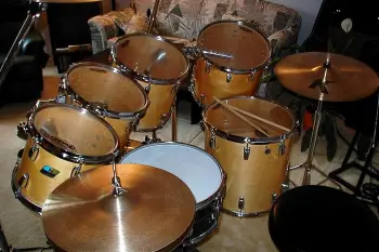 Black Beauty Question