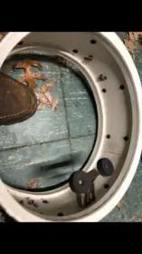 Radio King white paint interior?