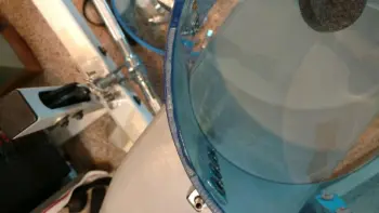 1976 Vistalite bearing edges and tom depth question