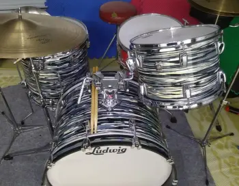 Ludwig Classic Maple