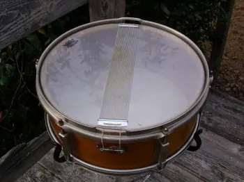 For Sale: Ludwig Trans Badge Snare