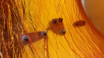 Orange/Amber Wooding Cristalline BD (Rare!)