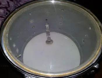 Rogers 8x12 Champagne Sparkle Tom