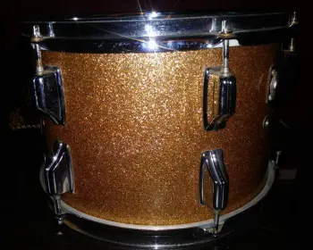 Rogers 8x12 Champagne Sparkle Tom