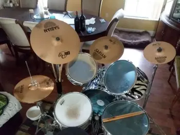 1984-85 Pearl Export Safari Series - Zebra