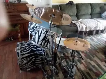 1984-85 Pearl Export Safari Series - Zebra