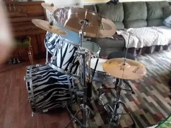 1984-85 Pearl Export Safari Series - Zebra