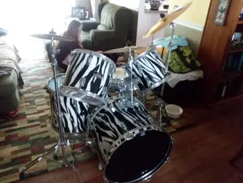 1984-85 Pearl Export Safari Series - Zebra