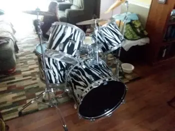 1984-85 Pearl Export Safari Series - Zebra