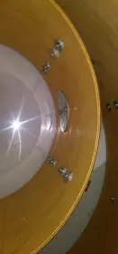 Ludwig Shells