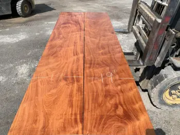 Identification...Ludwig Thermogloss Over Natural Mahogany?