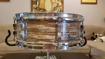 Ludwig Transition Badge &quot;Jazz Fest&quot; value?