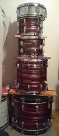 Another Ludwig Standard on CL