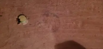 Can anyone help identify this drum?