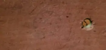 Can anyone help identify this drum?