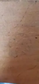 Can anyone help identify this drum?