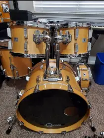 Sonor Guys