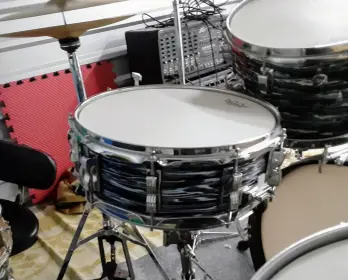 Ludwig