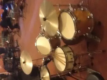 Premier Genista for Jazz?