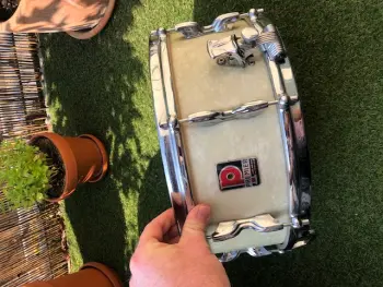 Premier Genista for Jazz?