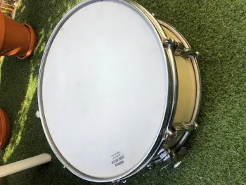 Premier Genista for Jazz?