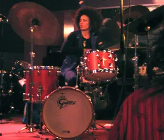 who make/made thoose particular Gretsch drums?