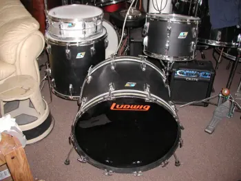 Ludwig Black Panther