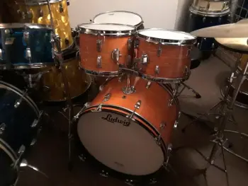 Ludwig Black Panther