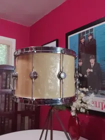 Snare collection for sale
