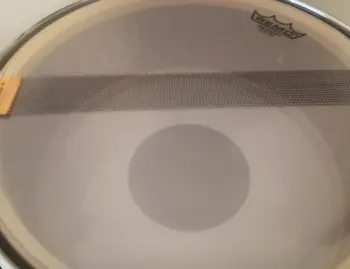 WFL Barrett Deems Snare
