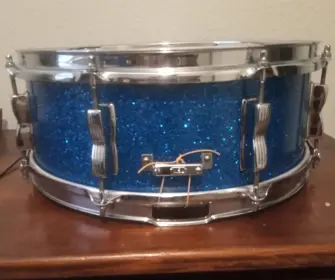 WFL Barrett Deems Snare
