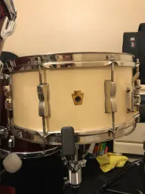 WFL Barrett Deems Snare