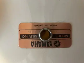 Are These Recording Customs?