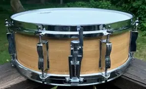 Ludwig Combo Vistalite?