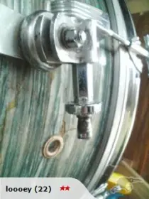 Can anyone identify these?