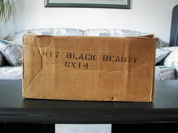 Black Beauty Question
