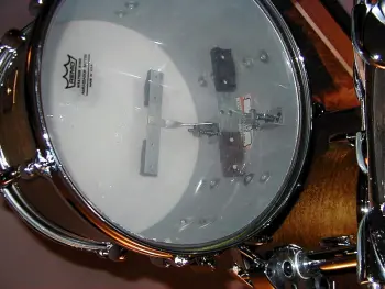 Black Beauty Question