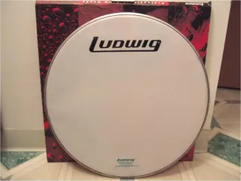 1970s Ludwig Logo Head, 22&quot;