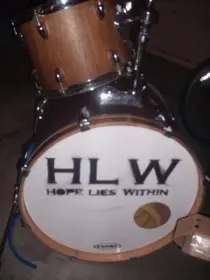 Does anyone know about these drums?