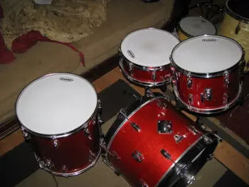 Ludwig Standard