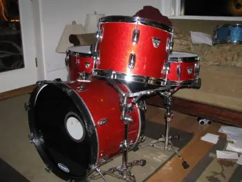 Ludwig Standard